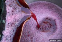 How to Make Wine at Home for Beginners
