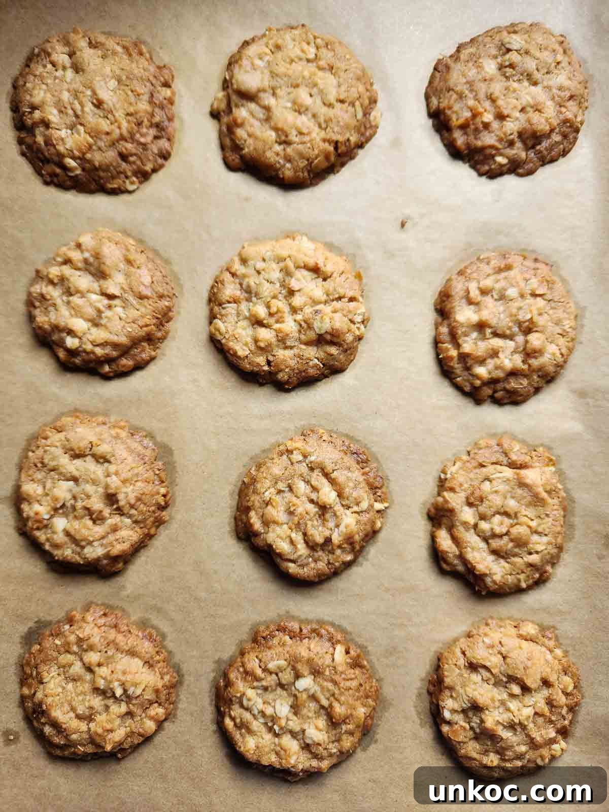 Overhead of cooked coconut oatmeal cookies on a baking sheet.
