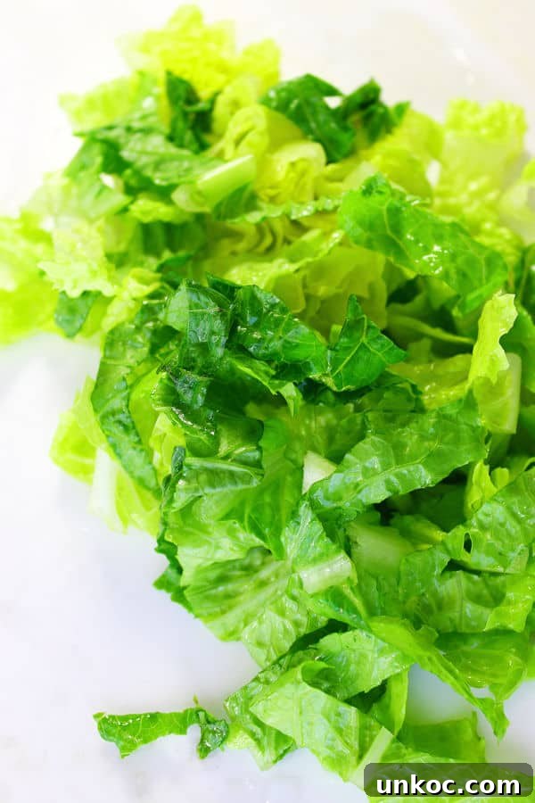 Chopped Chicken Salad Recipe with Fresh Vegetables 2 Chopped Chicken Salad
