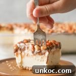 Peanut Buster Ice Cream Dessert thumbnail.