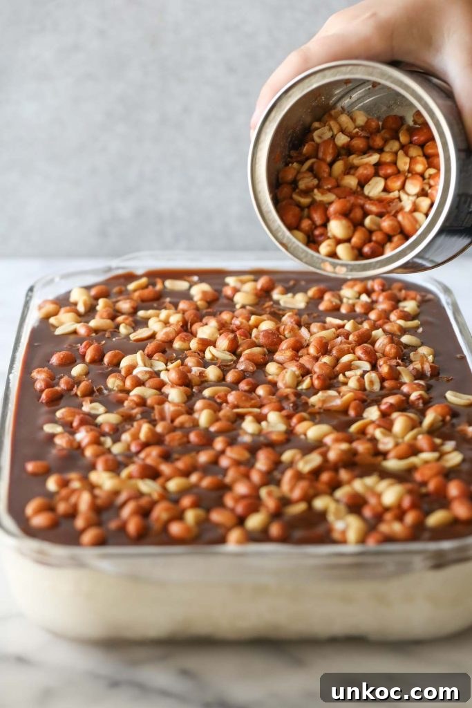Peanut Buster Ice Cream Dessert Recipe 8 Vanilla ice cream spread evenly over the cookie crust.