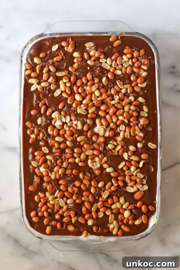 Peanut Buster Ice Cream Dessert Recipe 10 Chocolate fudge poured over the ice cream layer.