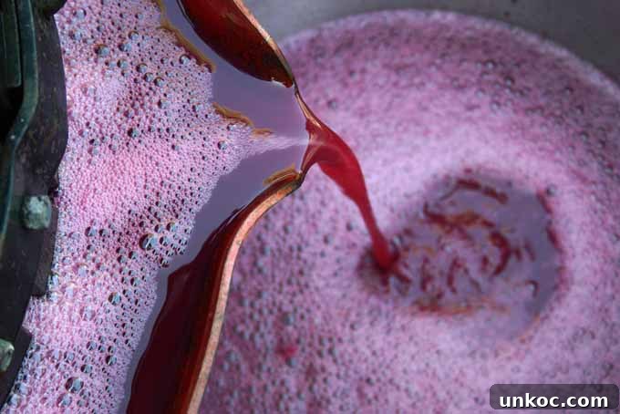 How to Make Wine at Home for Beginners 2 Introduction to home wine making