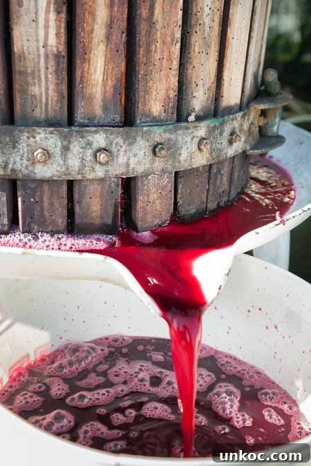 How to Make Wine at Home for Beginners 7 Home wine making