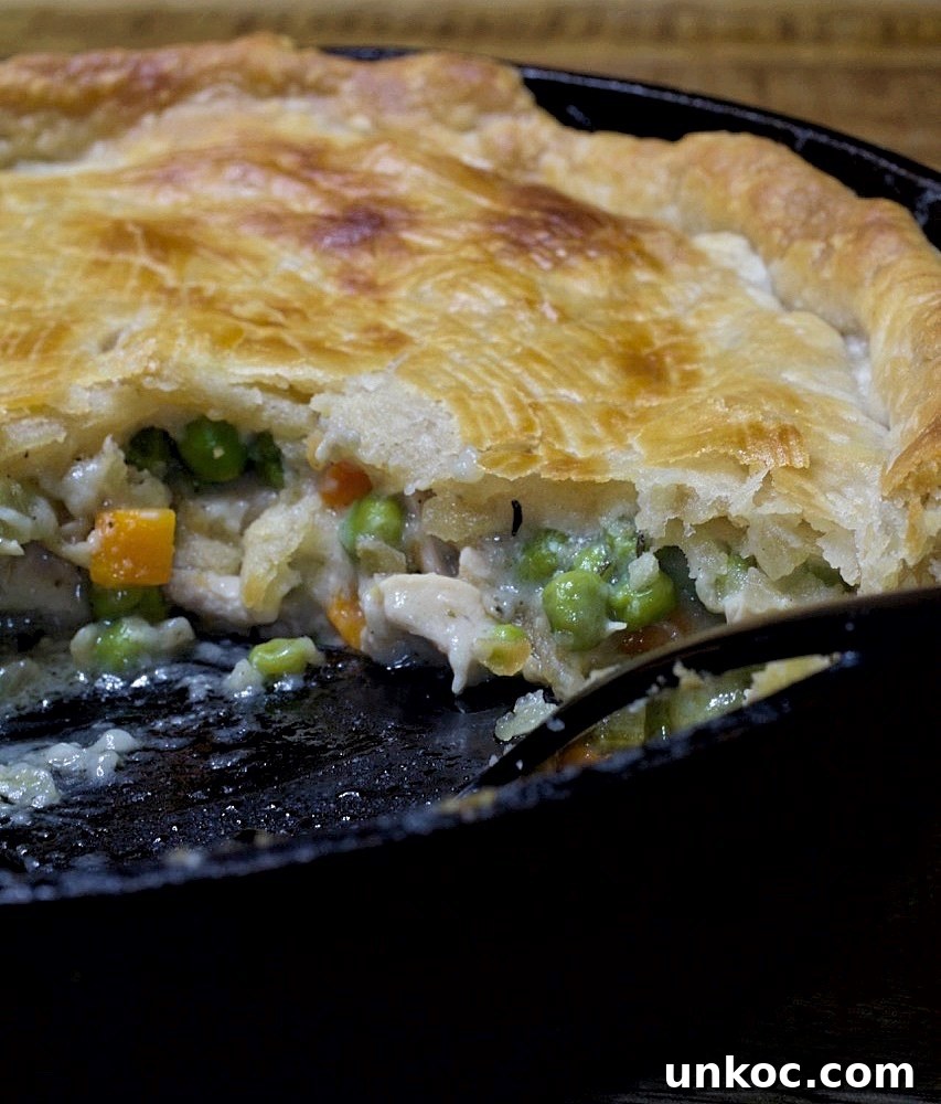 Cast Iron Skillet Chicken Pot Pie with Crispy Golden Crust 2 Iron Skillet Chicken Pot Pie