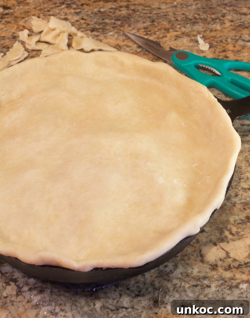 Cast Iron Skillet Chicken Pot Pie with Crispy Golden Crust 8 Filling in skillet