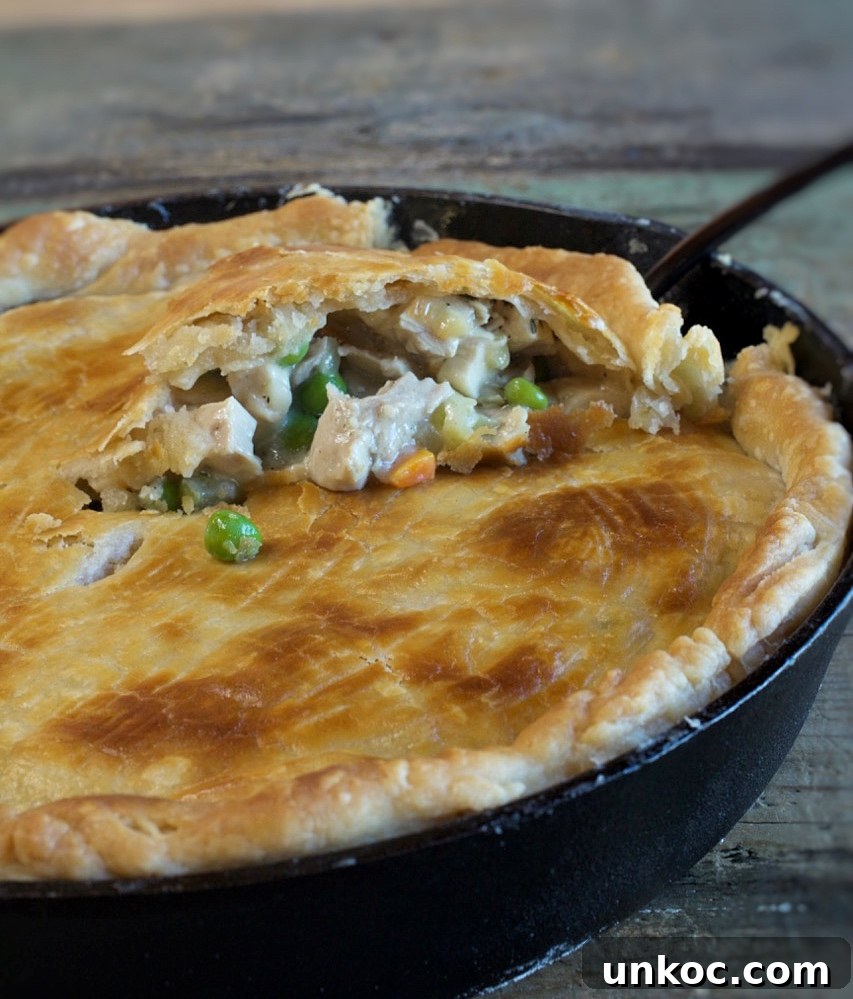 Cast Iron Skillet Chicken Pot Pie with Crispy Golden Crust 10 Golden crust