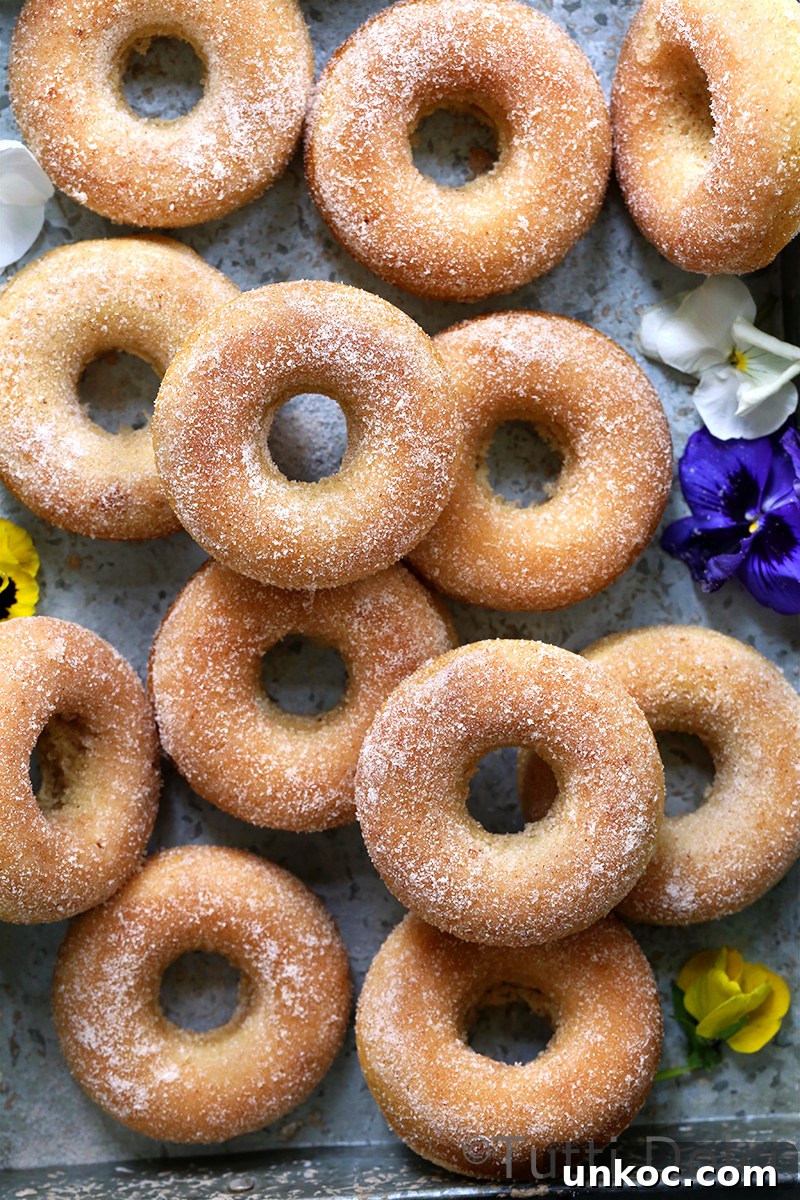 Baked Cinnamon Sugar Donuts Recipe 3 Baked Cinnamon Sugar Doughnuts