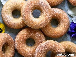 Baked Cinnamon Sugar Doughnuts