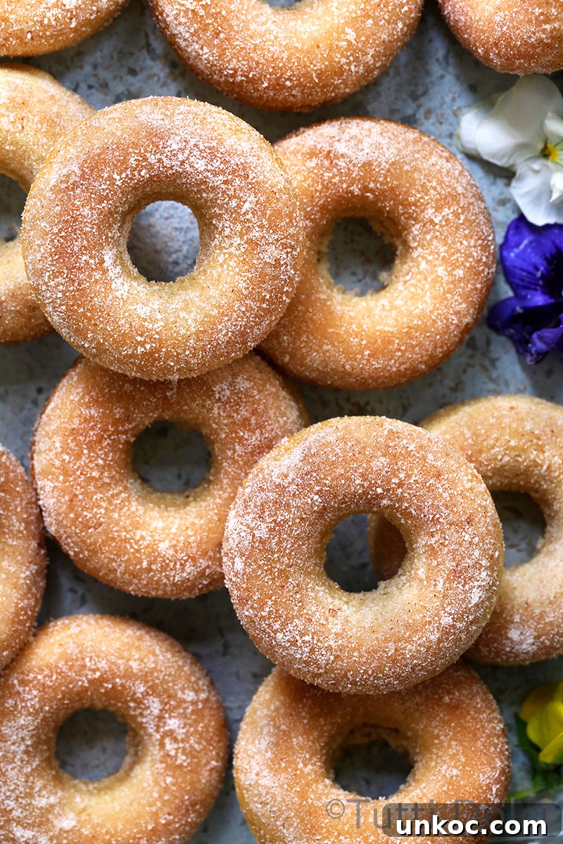 Baked Cinnamon Sugar Donuts Recipe 5 Baked Cinnamon Sugar Doughnuts