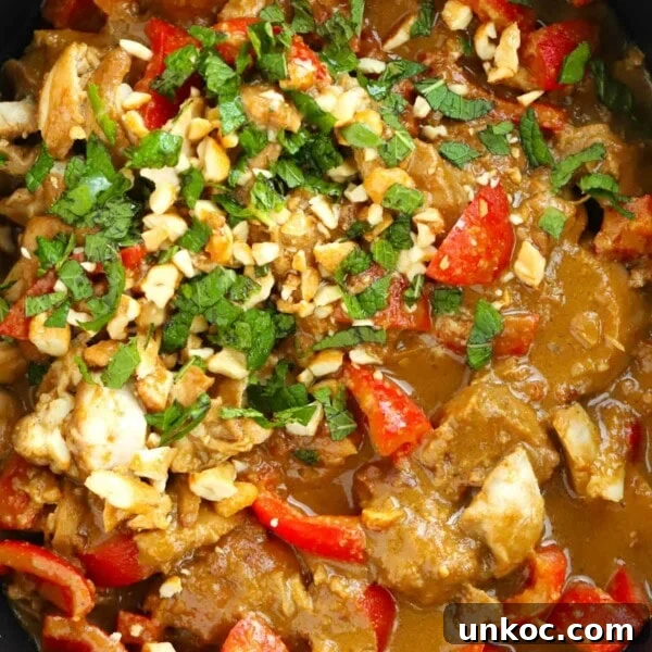Close up of the dish Slow Cooker Chicken Satay.