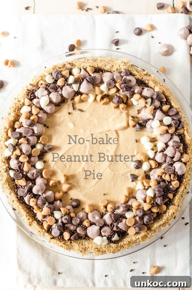 No bake peanut butter pie with pretzel crust. This delicious pie will be a new favorite dessert at my house!