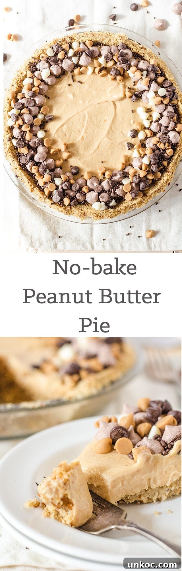 No-bake peanut butter pie with pretzel crust