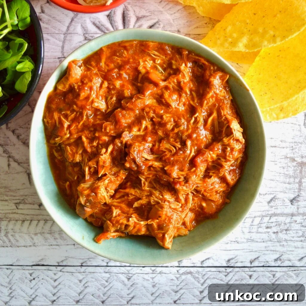 10 Gluten and Dairy Free Slow Cooker Recipes 4 taco chicken