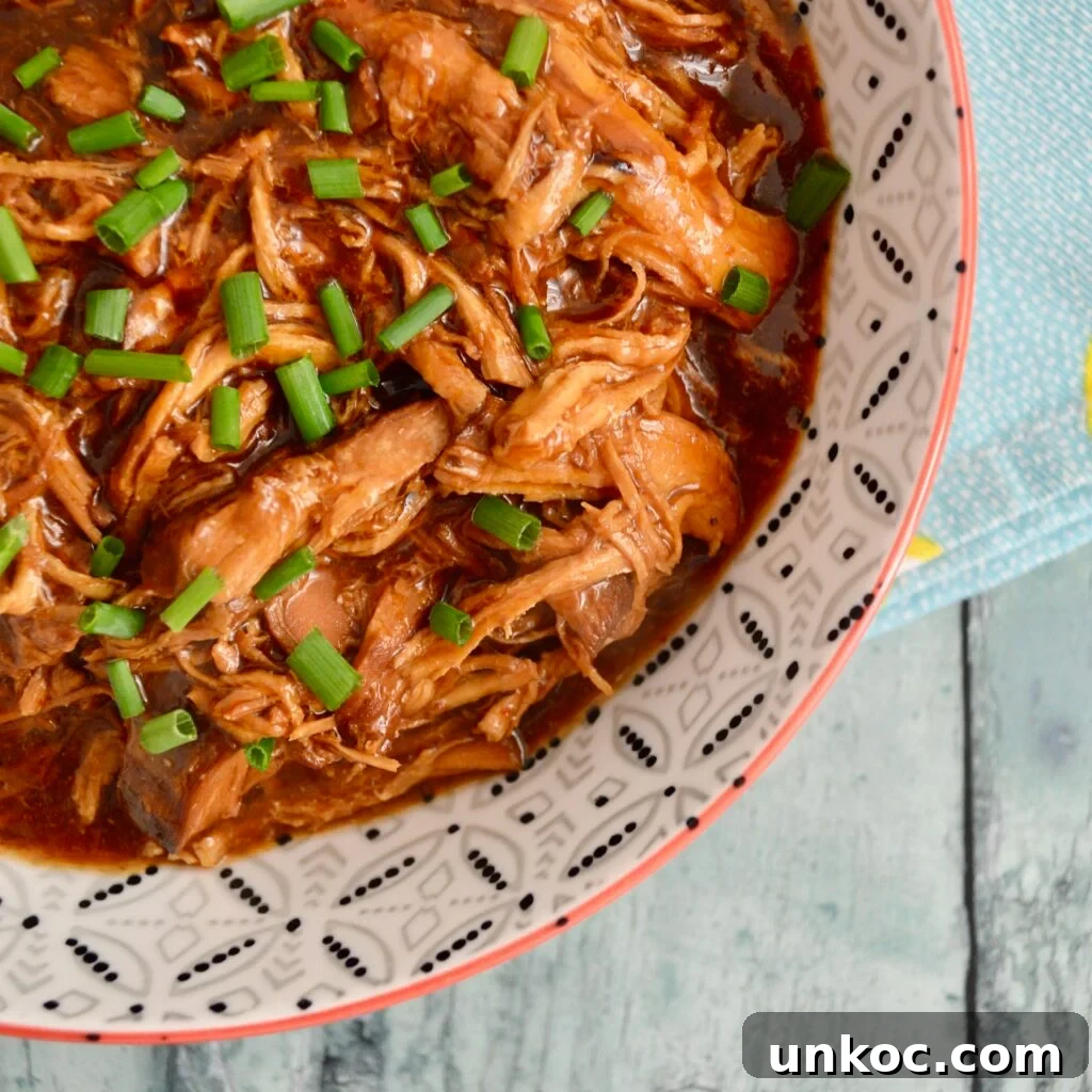10 Gluten and Dairy Free Slow Cooker Recipes 8 honey chilli chicken