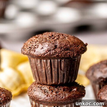 Two chocolate banana muffins stacked on top of each other.