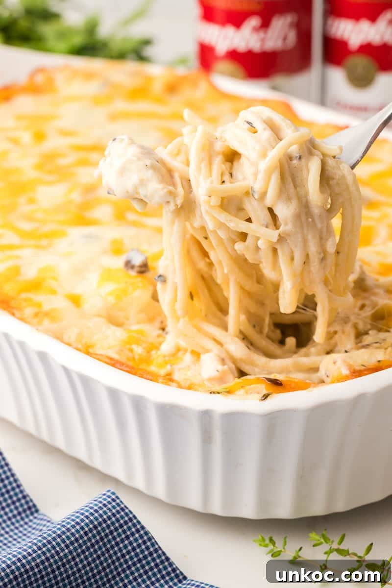 Chicken Tetrazzini with Cream of Mushroom Soup 2 Chicken tetrazzini scooped up on a fork.
