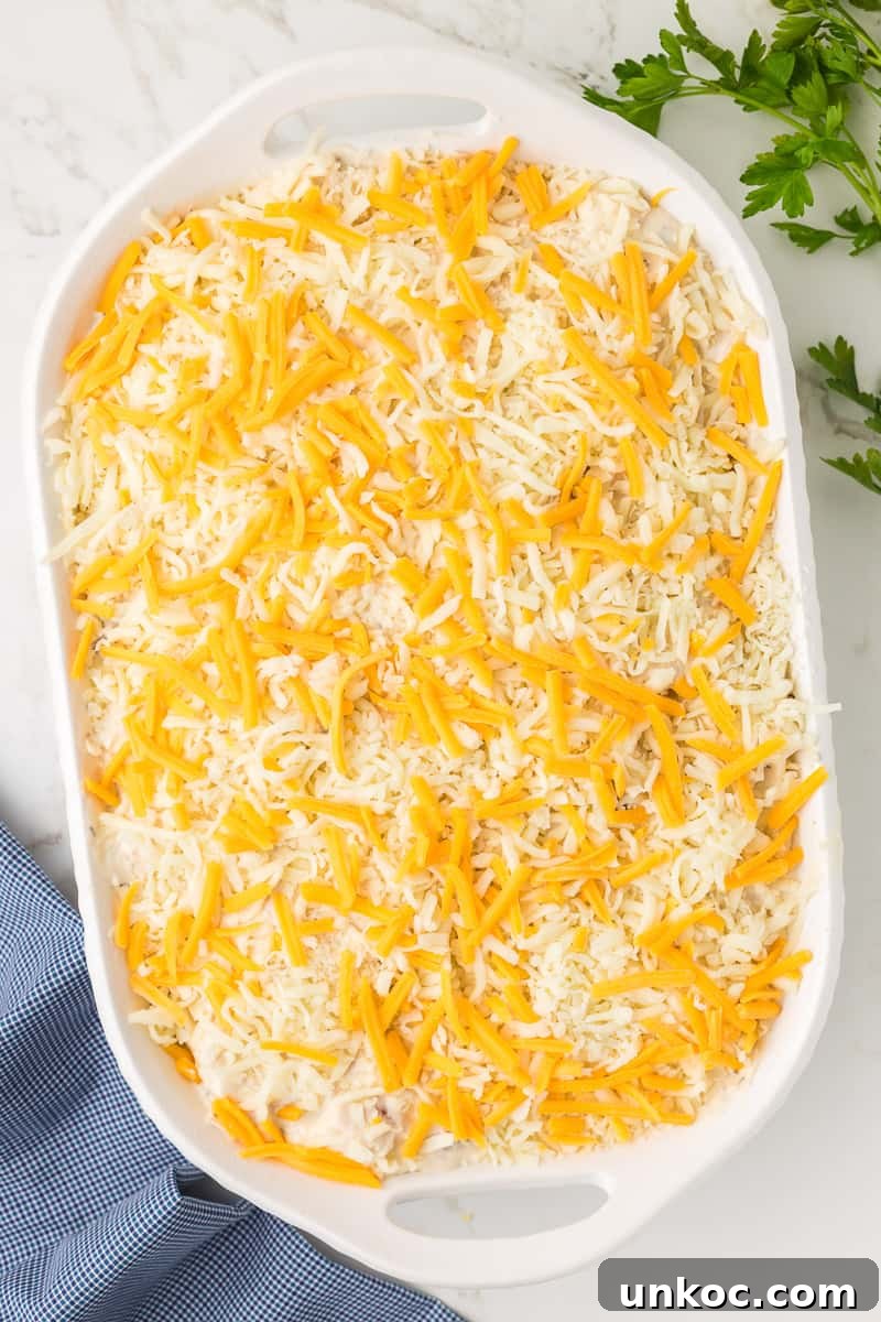 Chicken Tetrazzini with Cream of Mushroom Soup 8 Grated cheddar and Monterey Jack cheese is sprinkled on top of casserole in baking dish.