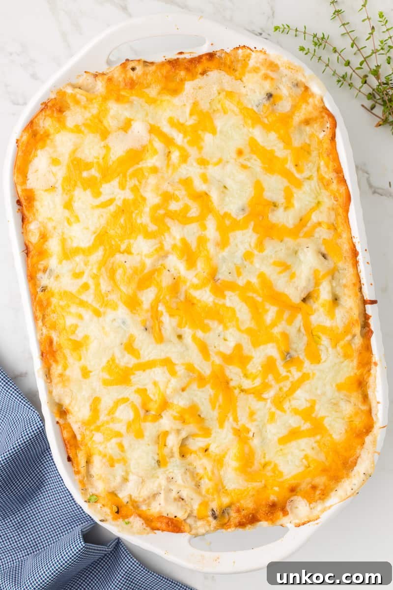 Chicken Tetrazzini with Cream of Mushroom Soup 9 Completed dish of chicken tetrazzini with melted cheese on top.