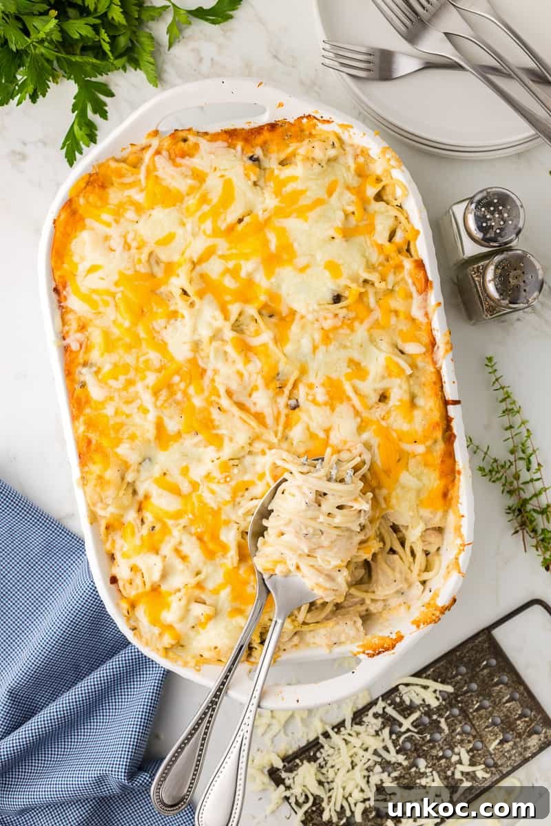 Chicken Tetrazzini with Cream of Mushroom Soup 10 Chicken tetrazzini served from a white baking dish.
