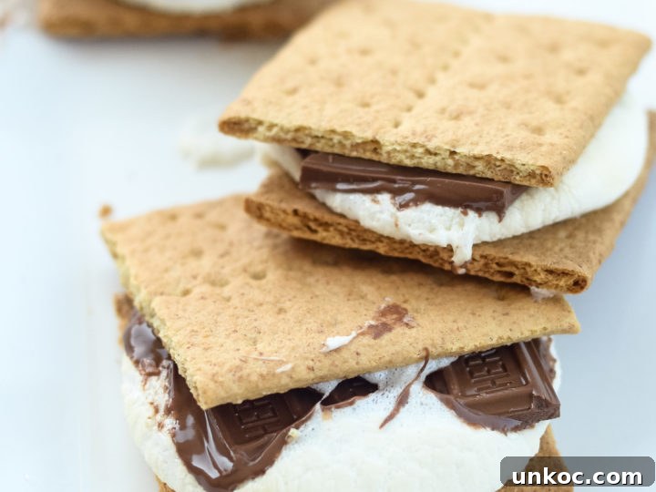Image for Easy Air Fryer S'mores