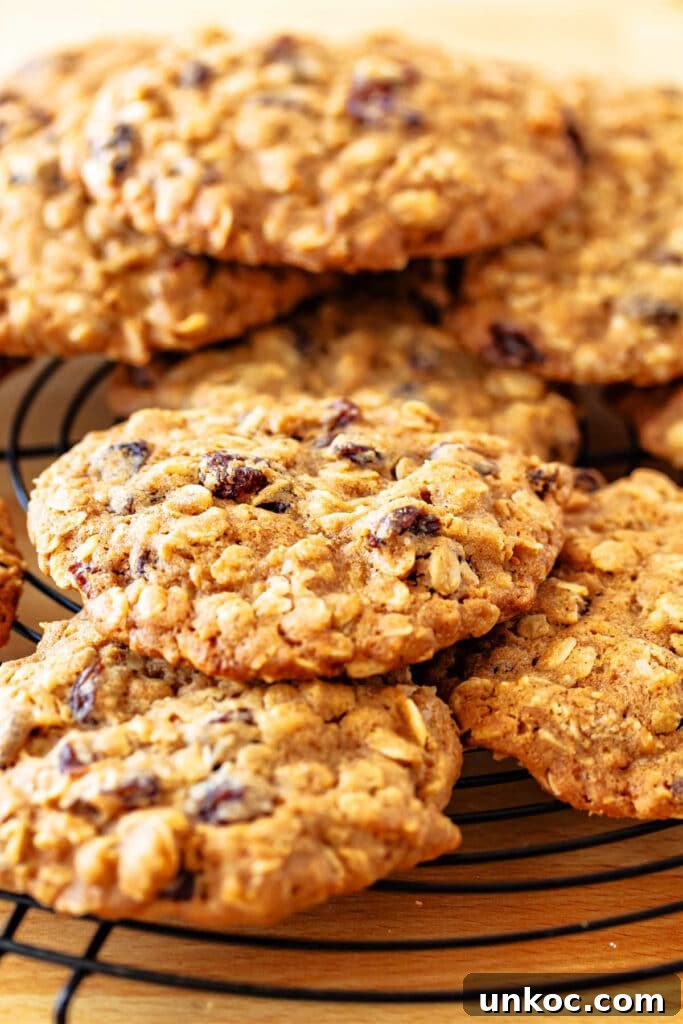 Chewy Oatmeal Raisin Cookies Recipe 2 A close-up of large, thick and chewy oatmeal raisin cookies on a circular rack.