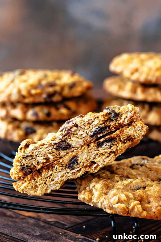 Chewy Oatmeal Raisin Cookies Recipe 3 A close-up of an oatmeal cookie cut in half to show all the rolled oats and chewy raisins in it.