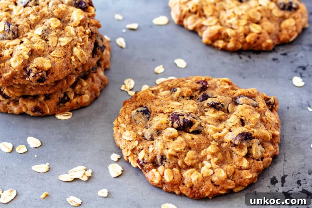 Chewy Oatmeal Raisin Cookies Recipe 7 Horizontal close-up image of baked chewy oatmeal raisin cookies on a silver sheet pan.