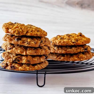 Chewy Oatmeal Raisin Cookies Recipe 10 Two stacks of oatmeal cookies on a round black wire cooling rack.