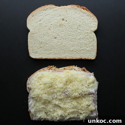 Classic Croque Madame Sandwich Recipe 11 step-by-step-croque-madame-recipe
