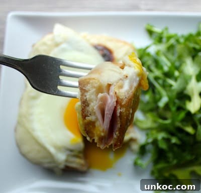 Classic Croque Madame Sandwich Recipe 4 croque-madame-recipe