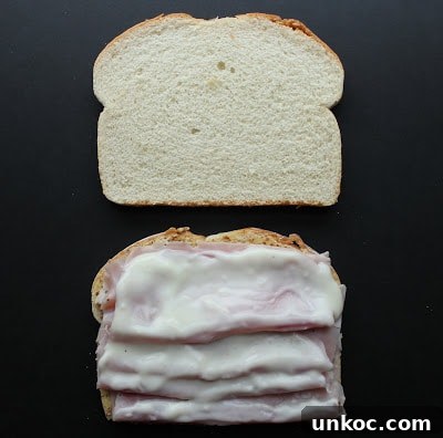 Classic Croque Madame Sandwich Recipe 10 step-by-step-croque-madame-recipe