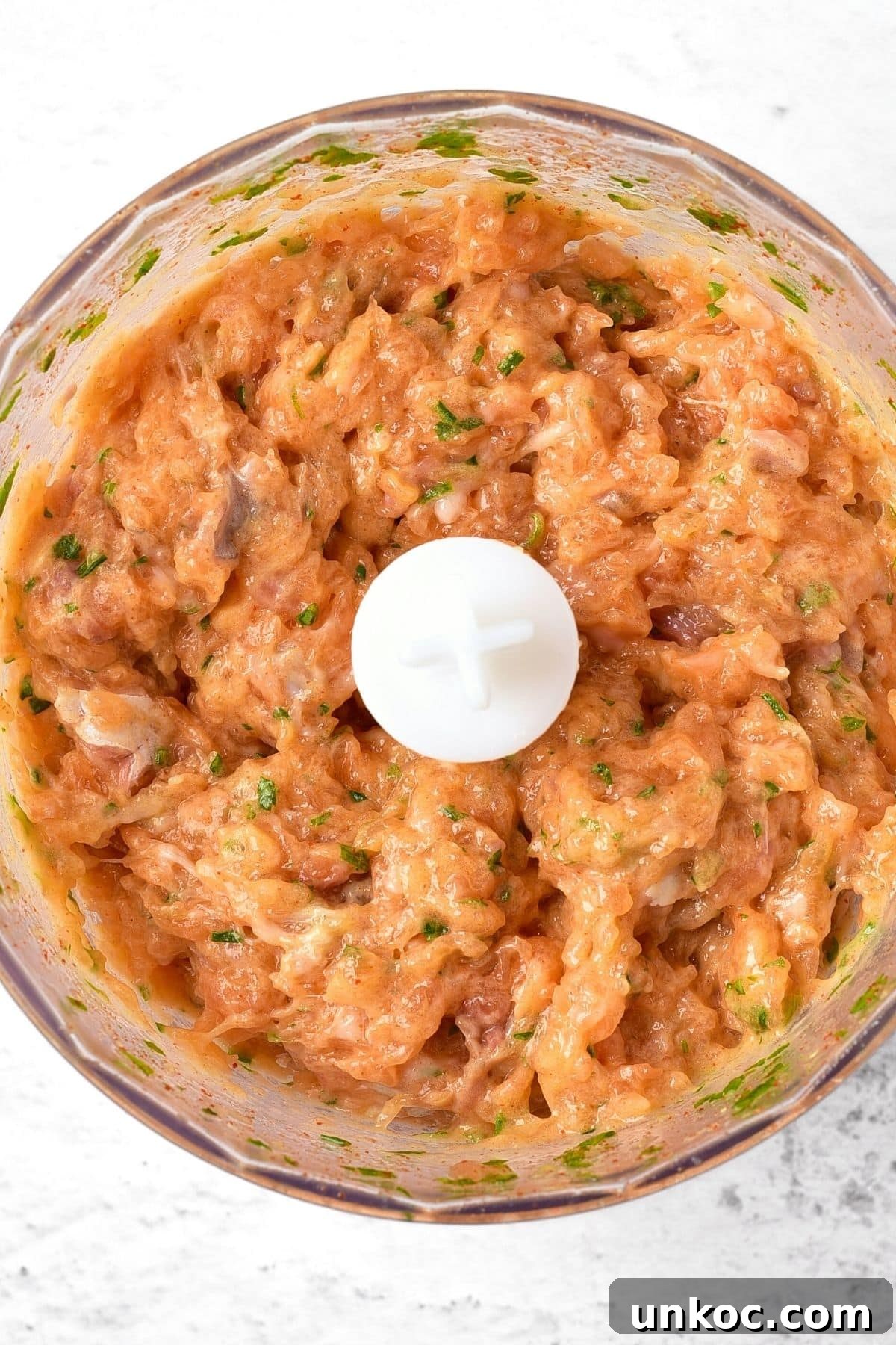 Processed salmon mixture in food processor.