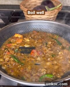 Jaffna Eggplant Chickpea Curry Sri Lankan Brinjal Recipe 28 Delicious Sri Lankan brinjal curry cooked with spices, lentils, and fresh vegetables in a flavorful.