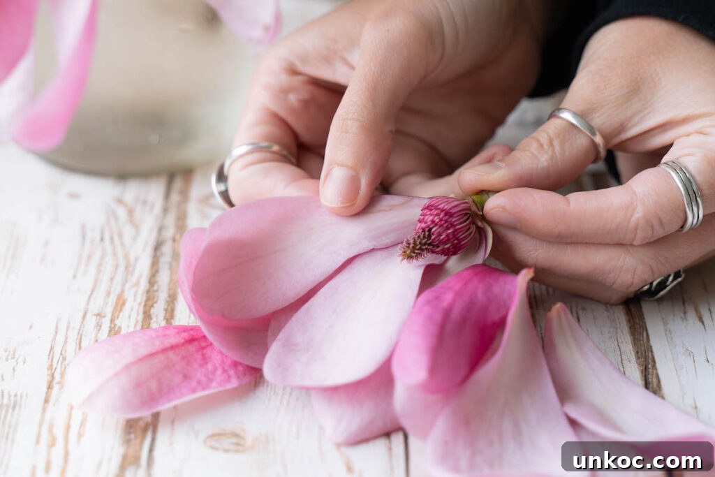 A close up look inside a magnolia flower