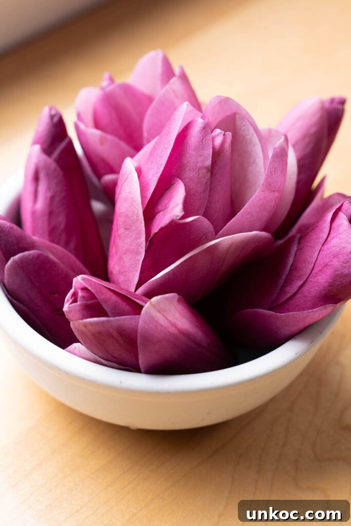 Fresh magnolia flowers