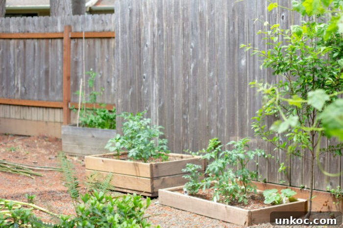 Quarter Acre Homestead Tour and Layout Plan 6 Small garden bed for an urban homestead