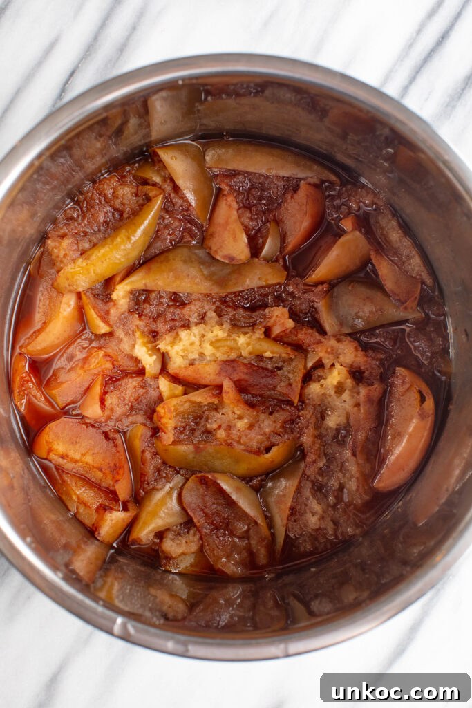 Instant Pot Apple Butter Recipe No Peeling Required 7 cooked apples in an instapot